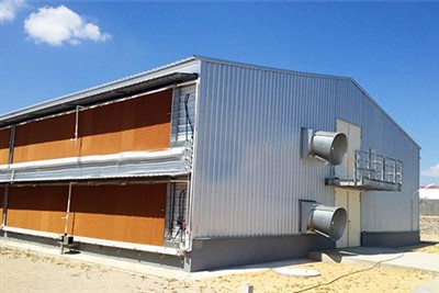 Comment installer l’éclairage dans un poulailler en acier ?